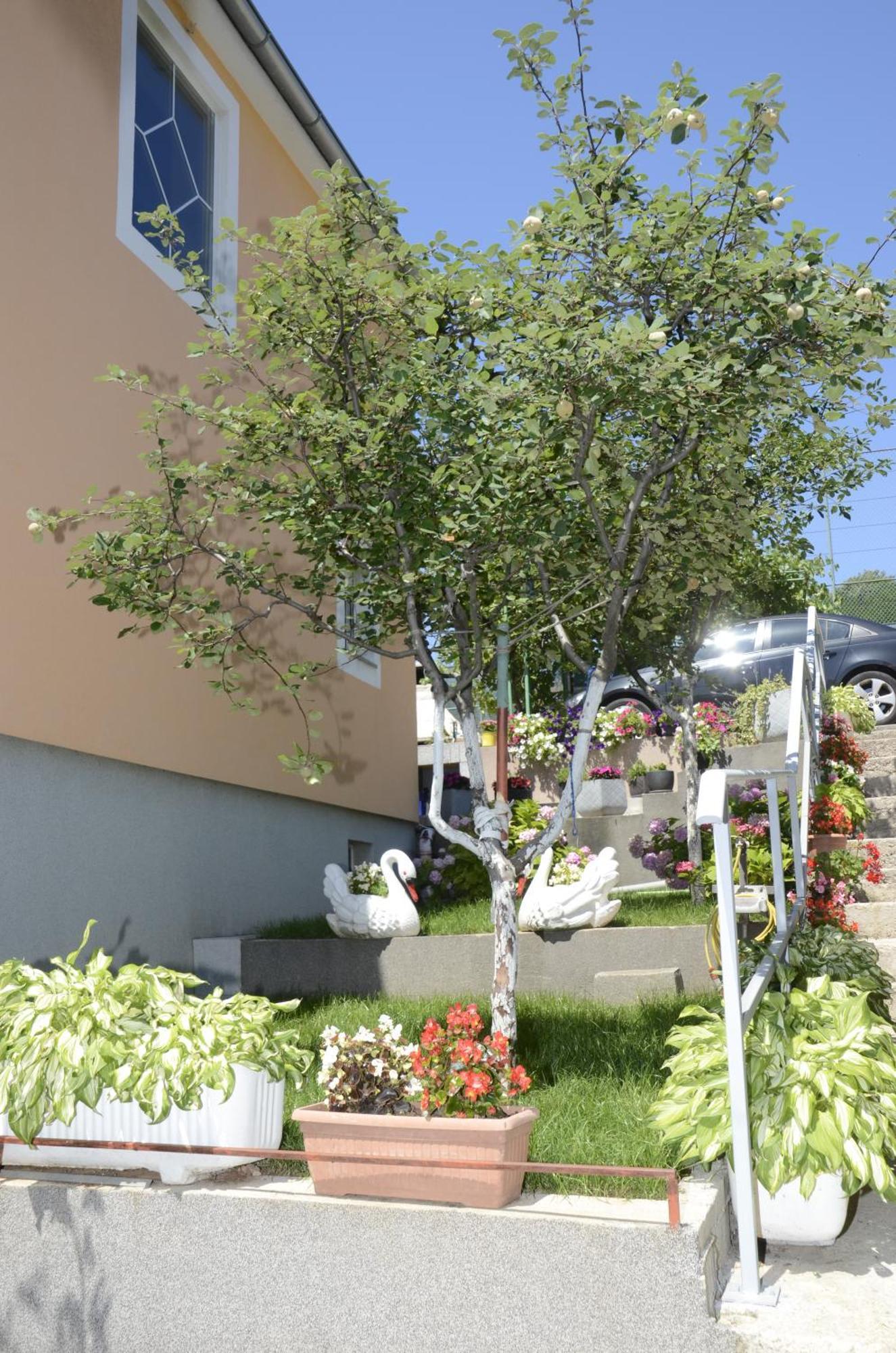 Apartments Lilly - Studio Rijeka Buitenkant foto