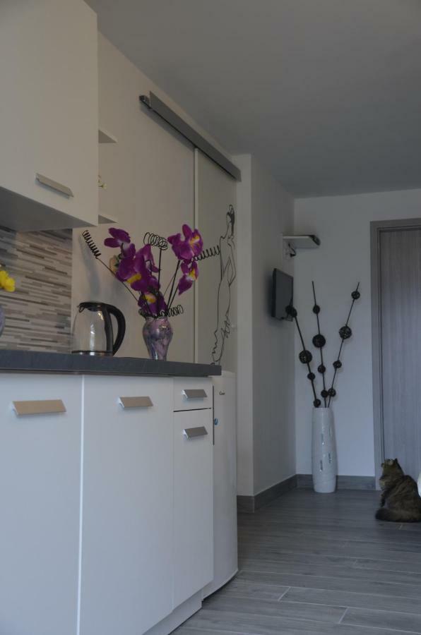 Apartments Lilly - Studio Rijeka Buitenkant foto